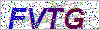 Enter the verification code FVTG